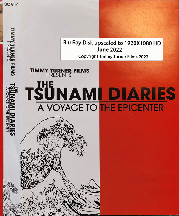 Play the Tsunami Diaries movie